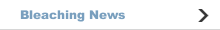 Bleaching News